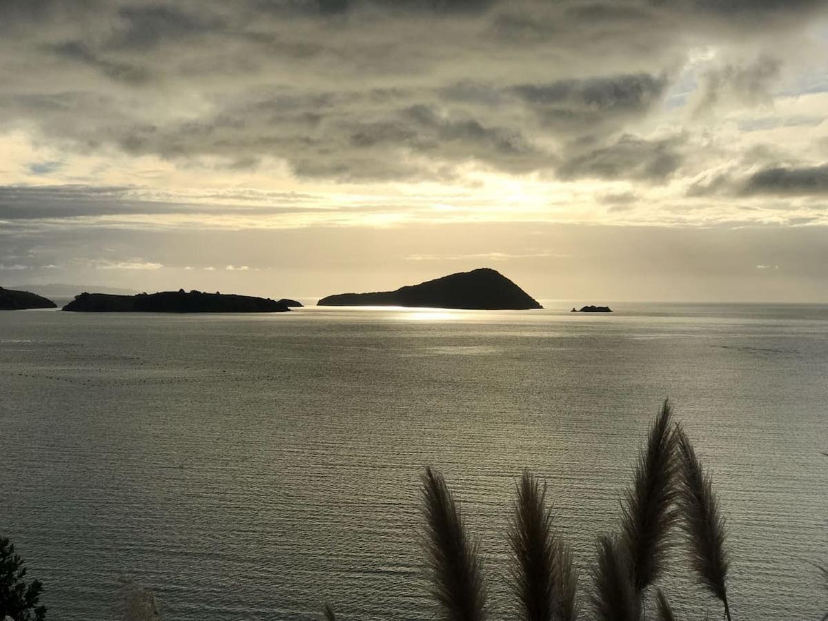 Вилла Island View Experience Coromandel Экстерьер фото