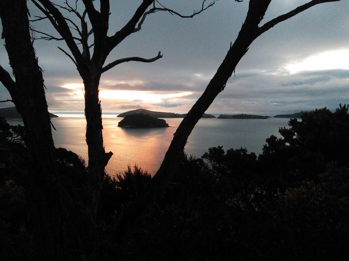 Вилла Island View Experience Coromandel Экстерьер фото